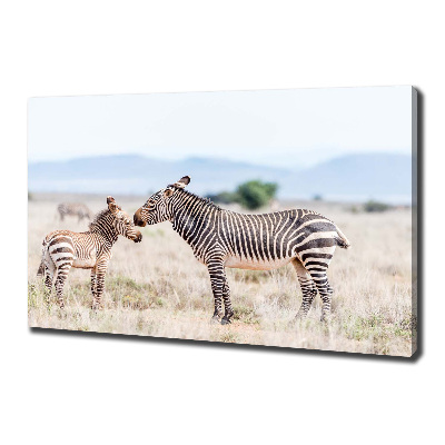 Large canvas wall art Zebra in the mountains