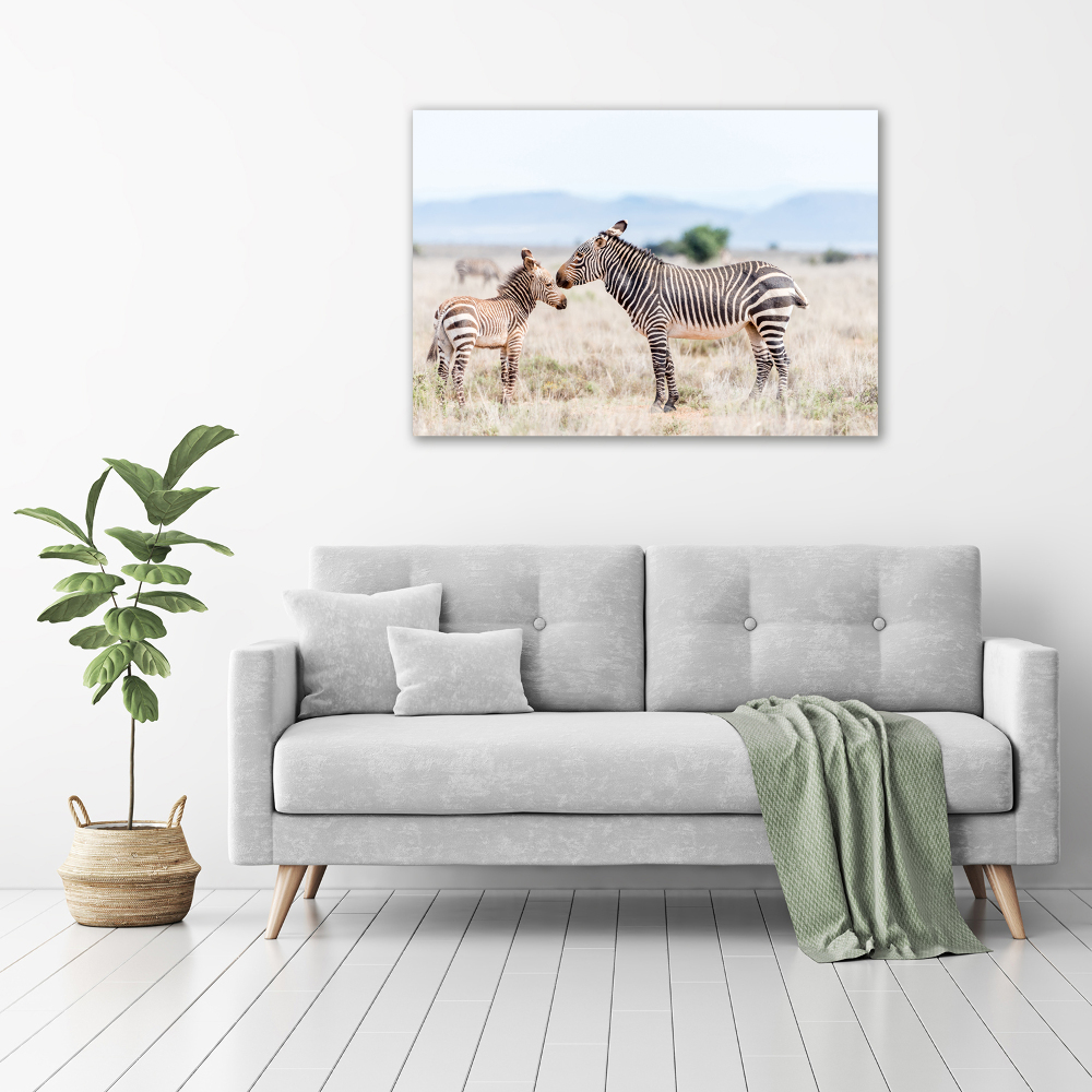 Large canvas wall art Zebra in the mountains