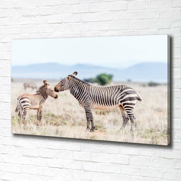 Large canvas wall art Zebra in the mountains