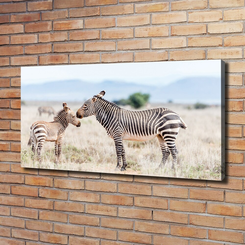 Large canvas wall art Zebra in the mountains