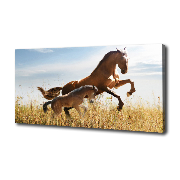 Large canvas wall art Mare with foal