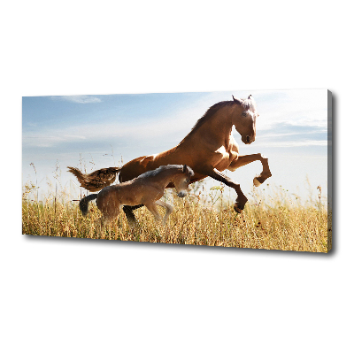 Large canvas wall art Mare with foal