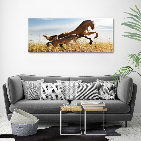 Large canvas wall art Mare with foal