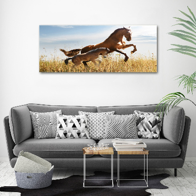 Large canvas wall art Mare with foal