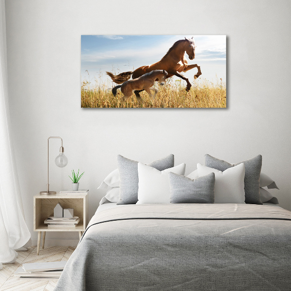 Large canvas wall art Mare with foal