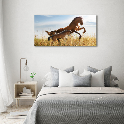 Large canvas wall art Mare with foal