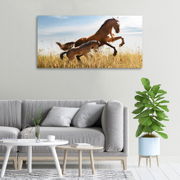 Large canvas wall art Mare with foal