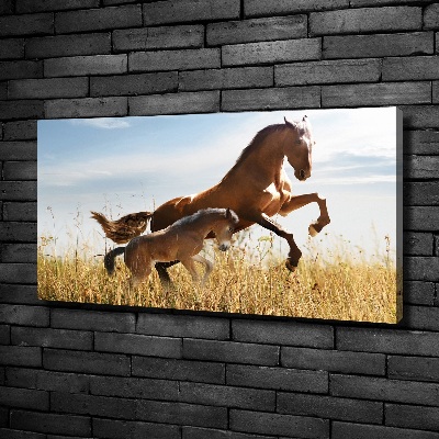 Large canvas wall art Mare with foal