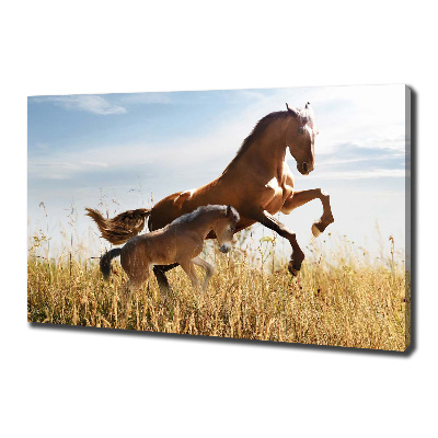 Large canvas wall art Mare with foal