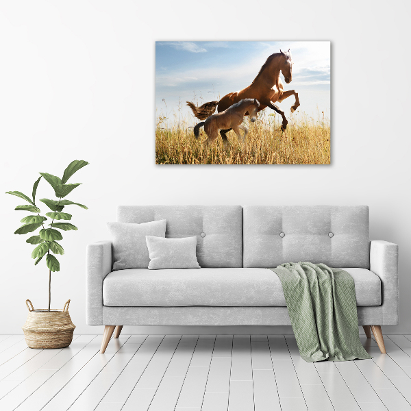 Large canvas wall art Mare with foal