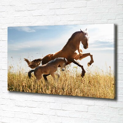 Large canvas wall art Mare with foal