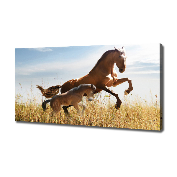 Large canvas wall art Mare with foal