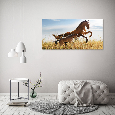 Large canvas wall art Mare with foal