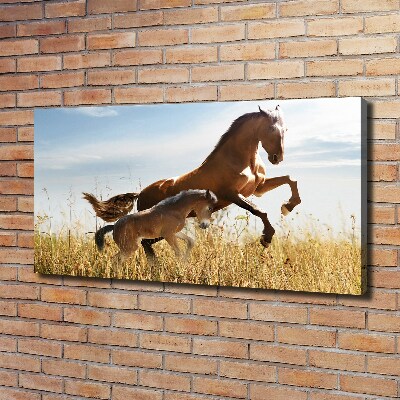 Large canvas wall art Mare with foal