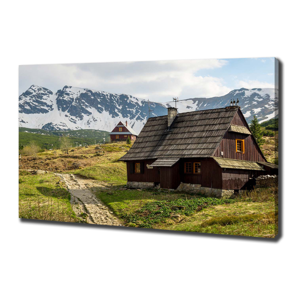 Canvas wall art Tatra Halls