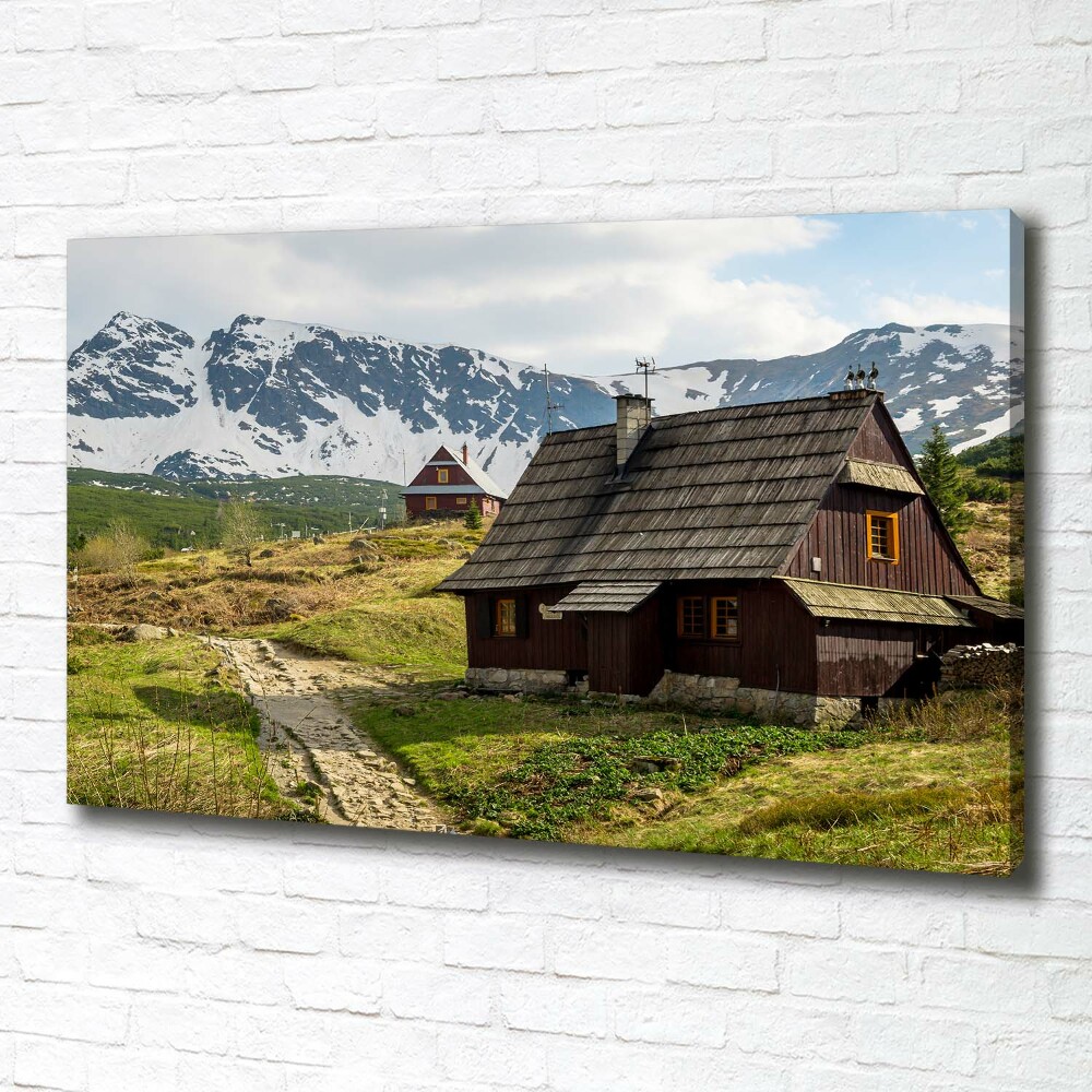 Canvas wall art Tatra Halls