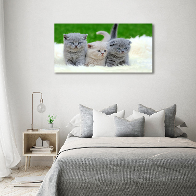 Large canvas wall art Three cats on the blanket