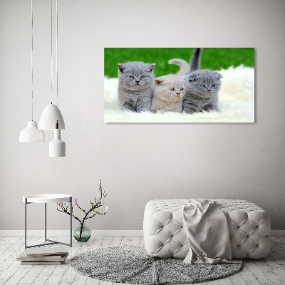 Large canvas wall art Three cats on the blanket