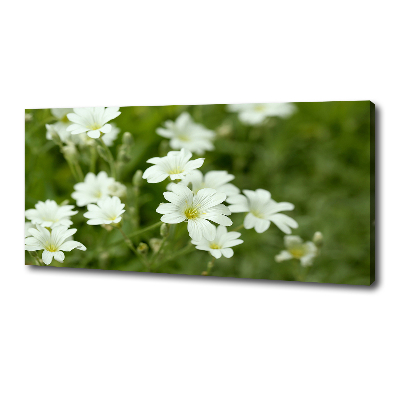 Canvas wall art Spring flowers