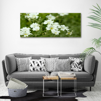 Canvas wall art Spring flowers