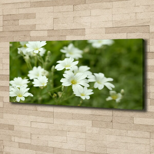 Canvas wall art Spring flowers