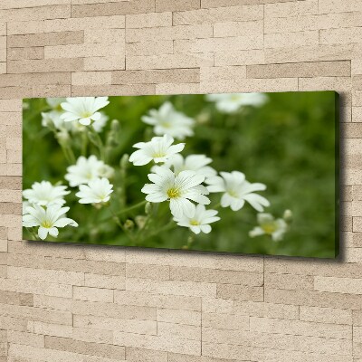 Canvas wall art Spring flowers