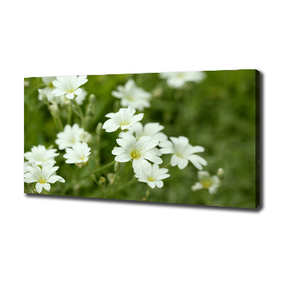 Canvas wall art Spring flowers