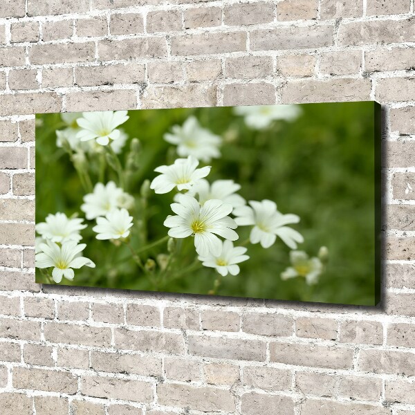 Canvas wall art Spring flowers