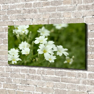 Canvas wall art Spring flowers