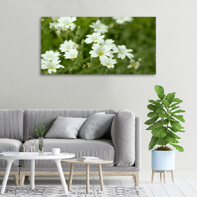 Canvas wall art Spring flowers