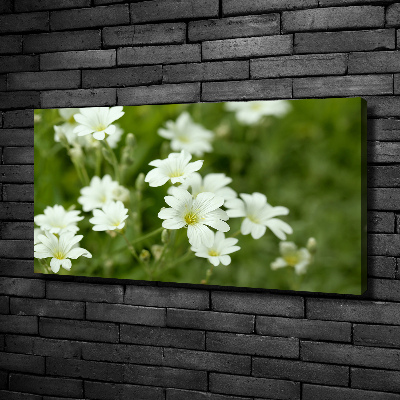 Canvas wall art Spring flowers