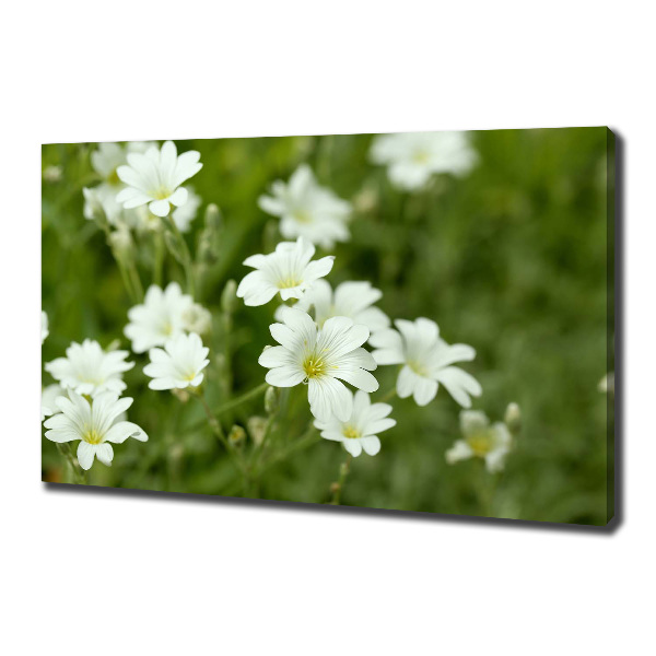 Canvas wall art Spring flowers