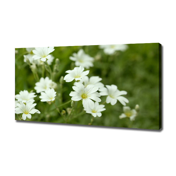 Canvas wall art Spring flowers