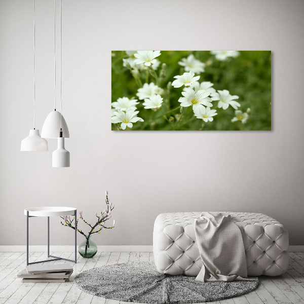 Canvas wall art Spring flowers