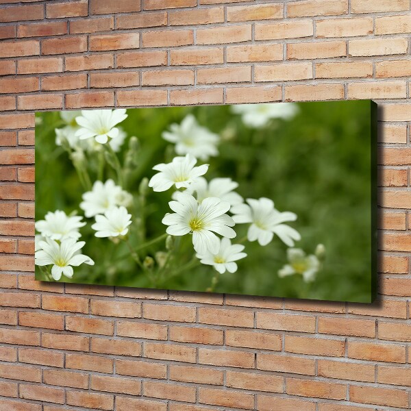 Canvas wall art Spring flowers