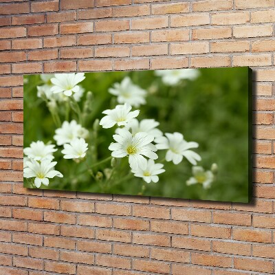 Canvas wall art Spring flowers