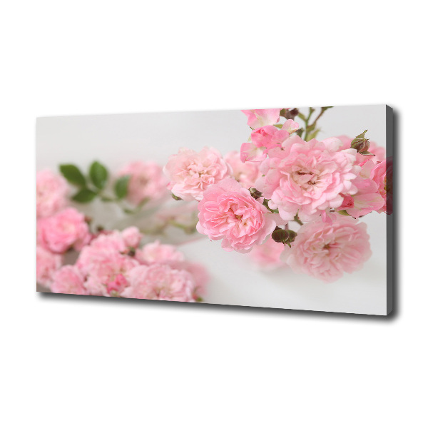 Canvas wall art Wild roses