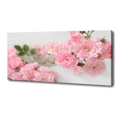 Canvas wall art Wild roses