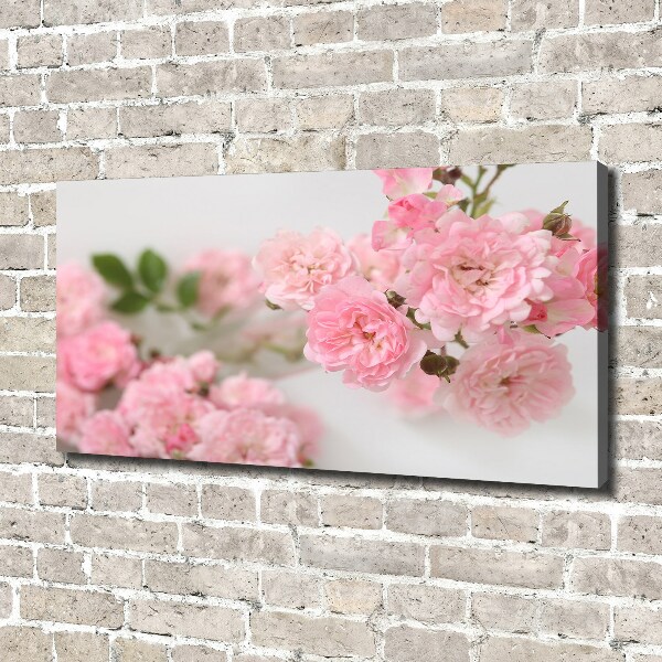 Canvas wall art Wild roses