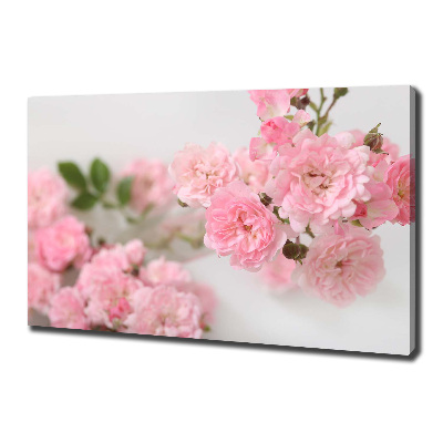 Canvas wall art Wild roses