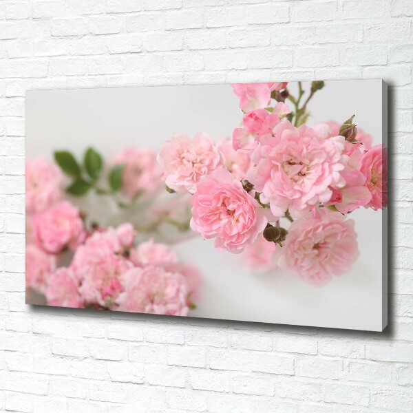 Canvas wall art Wild roses