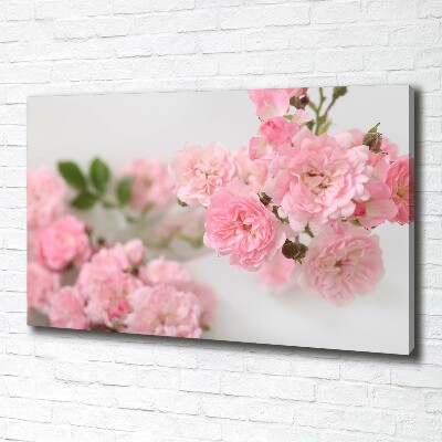 Canvas wall art Wild roses