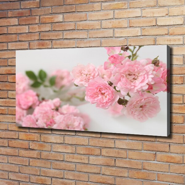 Canvas wall art Wild roses