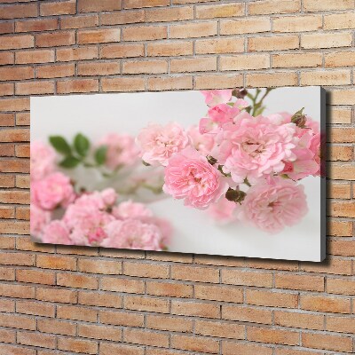 Canvas wall art Wild roses