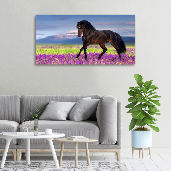 Canvas print Horse in the field of lavender