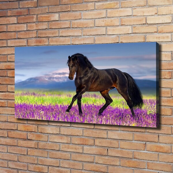 Canvas print Horse in the field of lavender