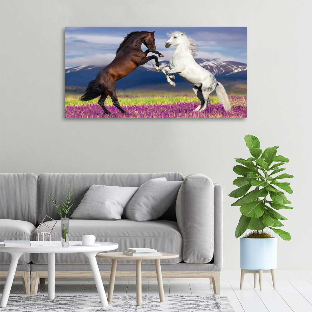 Canvas print Fighting horses mountains