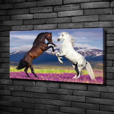 Canvas print Fighting horses mountains