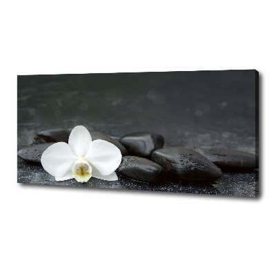 Canvas wall art Orchid