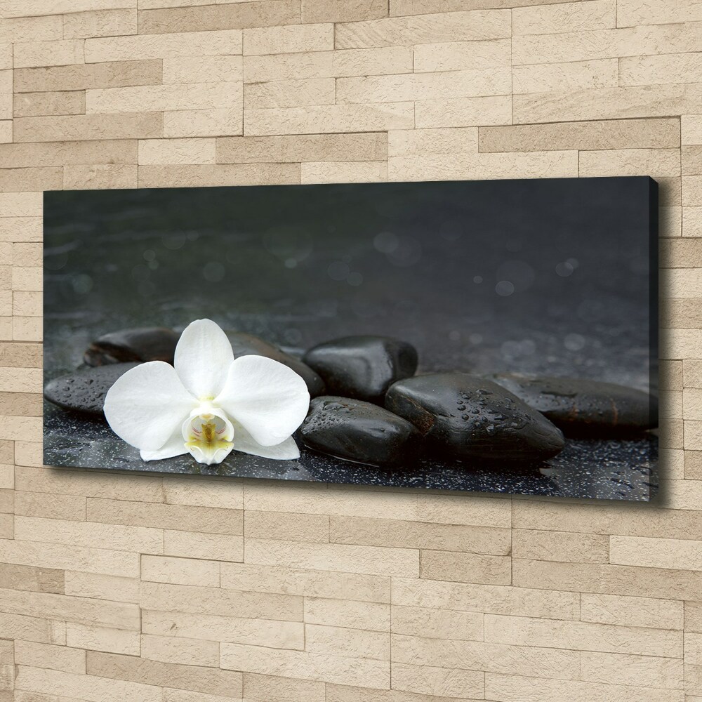 Canvas wall art Orchid